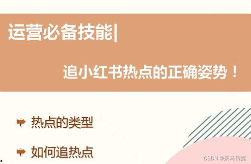 社会热点话题事件2025 北京朝阳吃瓜群众网,吃瓜群众视角下的社会热点事件盘点