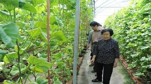 瓜瓜吃瓜ppt.独家爆料官方网站入口,揭秘官方网站入口全攻略